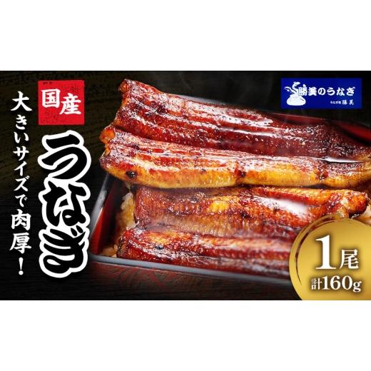 ふるさと納税 うなぎ 静岡県 浜松市 国産 うなぎ 蒲焼 1尾 (約160g×1尾 タレ75ml×1 山椒付) 鰻 国産 浜松うなぎ 浜名湖うなぎ 蒲焼き プレゼント 贈答 浜名…