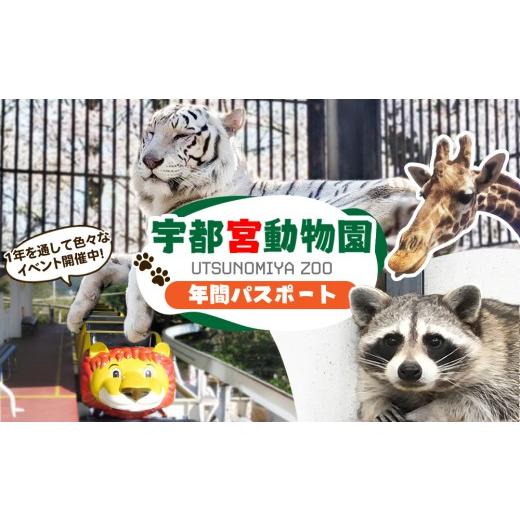 ふるさと納税 入場券・優待券 栃木県 宇都宮市 宇都宮動物園 年間パスポート 大人(中学生〜)1名様分 | 栃木県 宇都宮市 動物園 どうぶつえん 年パス 施設利…