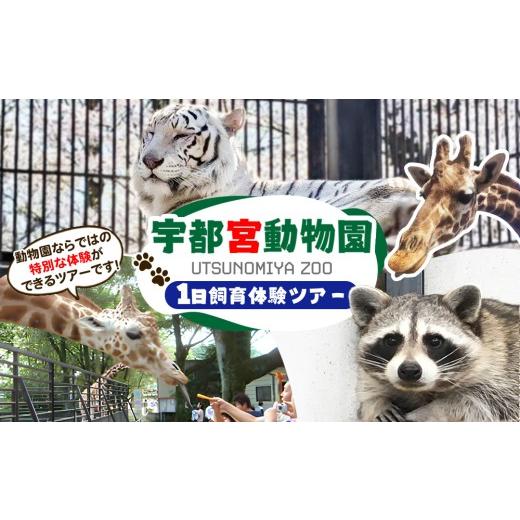 ふるさと納税 入場券・優待券 栃木県 宇都宮市 1日飼育体験(獣医師体験含む)ツアー | 宇都宮動物園 動物園 どうぶつえん 獣医師体験 栃木県 宇都宮市