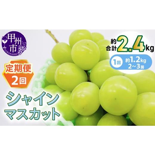 ふるさと納税 ぶどう マスカット 山梨県 甲州市 定期便 旬を2回楽しむ 甲州市産シャインマスカット 約1.2kg(2〜3房)×2回 2026年発送 (KSB)D5-101-1 シャ…