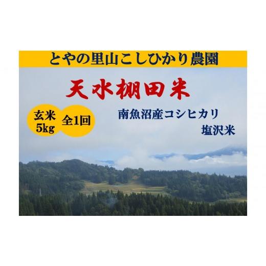 ふるさと納税 米 コシヒカリ 新潟県 南魚沼市 令和8年産新米予約 天水棚田米 雪蔵熟成塩沢産コシヒカリ玄米5kg1回「とやの里山継承プロジェクト」 2026年10月…