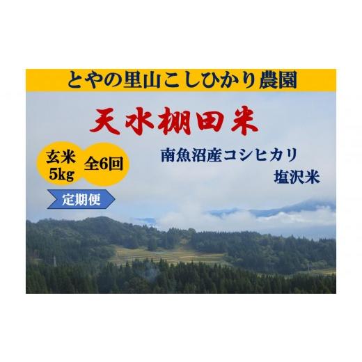 ふるさと納税 米 コシヒカリ 新潟県 南魚沼市 令和8年産新米予約 定期便 天水棚田米 雪蔵熟成塩沢産コシヒカリ玄米5kg6回「とやの里山継承プロジェクト」 202…