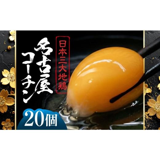 ふるさと納税 卵(鶏、烏骨鶏等) 愛知県 稲沢市 名古屋コーチン 卵 20個(18個+割れ保証2個) 化粧箱入り / 卵 たまご 鶏卵 高級卵 / 稲沢市 / 櫛田養鶏…
