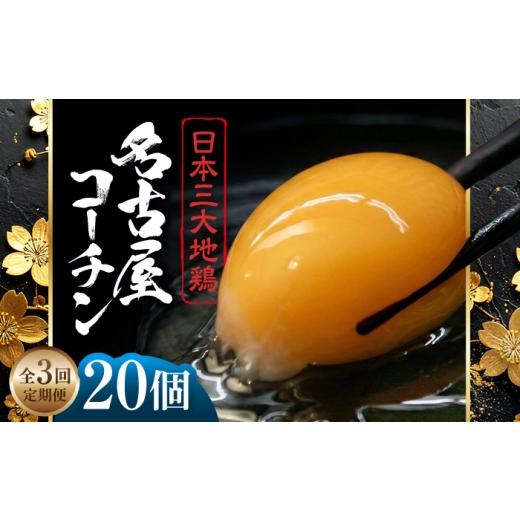 ふるさと納税 卵(鶏、烏骨鶏等) 愛知県 稲沢市 定期便3回 名古屋コーチン 卵 毎月20個(18個+割れ保証2個)×3ヶ月 / 卵 たまご 定期便 高級卵 / 稲沢市…