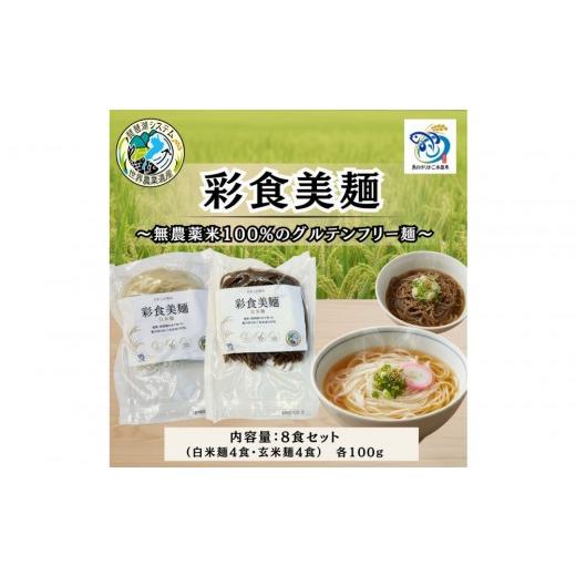 ふるさと納税 麺類 滋賀県 野洲市 無農薬・グルテンフリー 滋賀県野洲市産 2種の麺 8食セット 100g×8袋