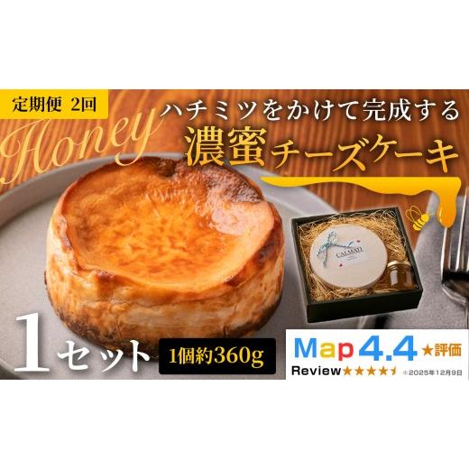 ふるさと納税 ケーキ・カステラ チーズケーキ 和歌山県 岩出市 ハチミツをかけて完成する濃蜜チーズケーキ 約360g 1セット × 2ヶ月 定期便[30日以内に出荷予…