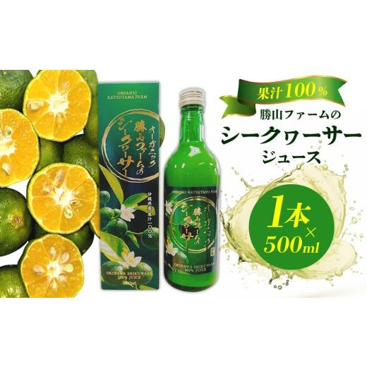 ふるさと納税 果汁飲料 沖縄県 名護市 勝山ファームのシークヮーサージュース 500ml×1本 シークヮーサー ジュース 沖縄 家庭用 原液 果汁 沖縄県産 炭酸 ギフ…