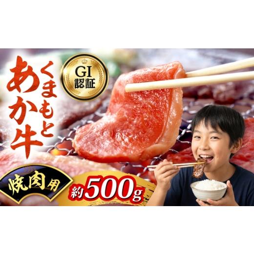 ふるさと納税 牛肉 焼肉・バーベキュー 熊本県 合志市 GI認証 くまもとあか牛 焼肉用 約500g 和牛 牛肉 焼肉 冷凍 阿蘇牧場