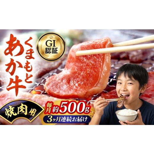 ふるさと納税 牛肉 焼肉・バーベキュー 熊本県 合志市 全3回定期便 GI認証 くまもとあか牛 焼肉用 約500g 和牛 牛肉 焼肉 冷凍 阿蘇牧場