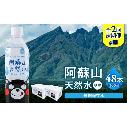 ふるさと納税 水・ミネラルウォーター 500mL〜999mL 熊本県 合志市 全2回定期便 熊本 阿蘇山天然水 500ml × 24本 2ケース(計48本) 天然水 水 ミネラルウォ…