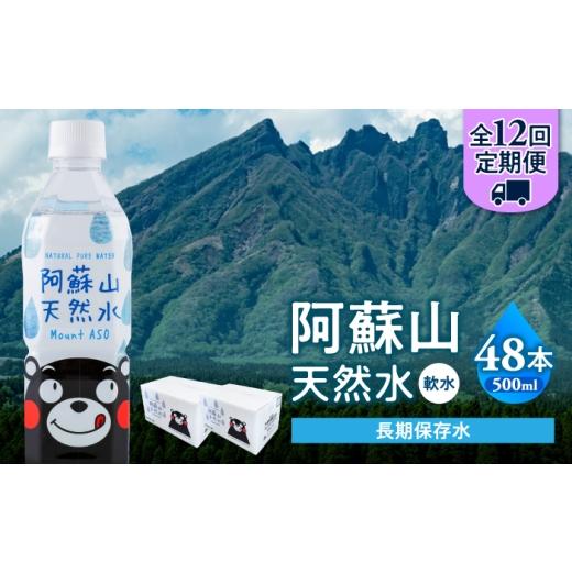 ふるさと納税 水・ミネラルウォーター 500mL〜999mL 熊本県 合志市 全12回定期便 熊本 阿蘇山天然水 500ml × 24本 2ケース(計48本) 天然水 水 ミネラルウ…