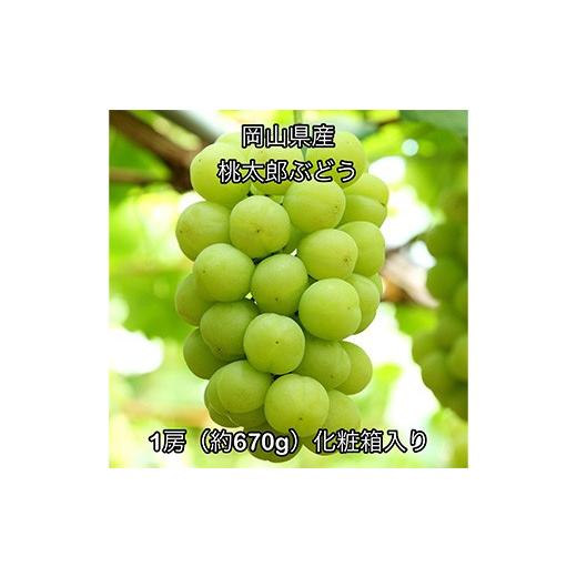 ふるさと納税 ぶどう マスカット 岡山県 井原市 桃太郎ぶどう1房(約670g) 化粧箱入り 岡山県産