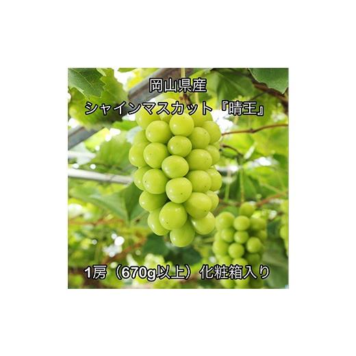 ふるさと納税 ぶどう マスカット 岡山県 井原市 シャインマスカット「晴王」1房(670g以上)化粧箱入り 岡山県産