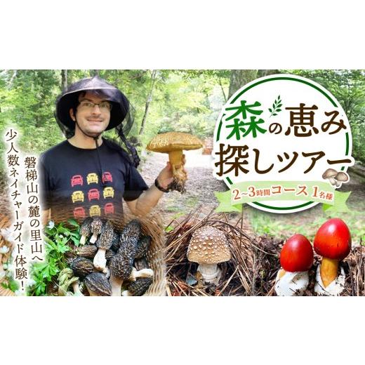ふるさと納税 体験チケット 福島県 猪苗代町 森の恵み探しツアー