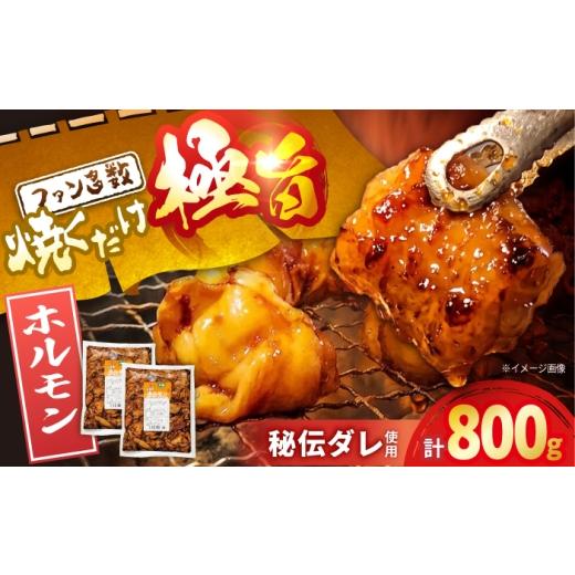 ふるさと納税 豚肉 ホルモン 長崎県 大村市 極旨ホルモン (400g×2) 合計約800g 大村市/焼肉大福