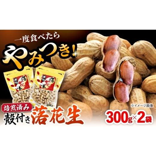 ふるさと納税 豆類 落花生 長崎県 大村市 殻付き 落花生 合計約600g(300g×2袋) ピーナツ おつまみ 大村市 浦川豆店