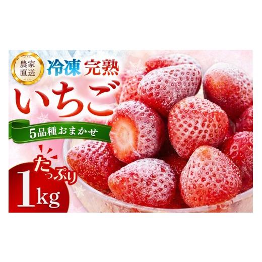 ふるさと納税 いちご 佐賀県 基山町 冷凍完熟いちご1kg 完熟いちご 冷凍いちご イチゴ 苺 産地直送 農場直送 ヘタ無し げんき農場 よつぼし おいCベリー かお…