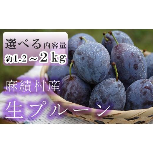 ふるさと納税 果物類 長野県 麻績村 2026年予約 信州 麻績村産 生プルーン 約 1.2kg 600g × 2パック フルーツ 果物 プルーン 産地直送 予約 麻績村 新返礼品…