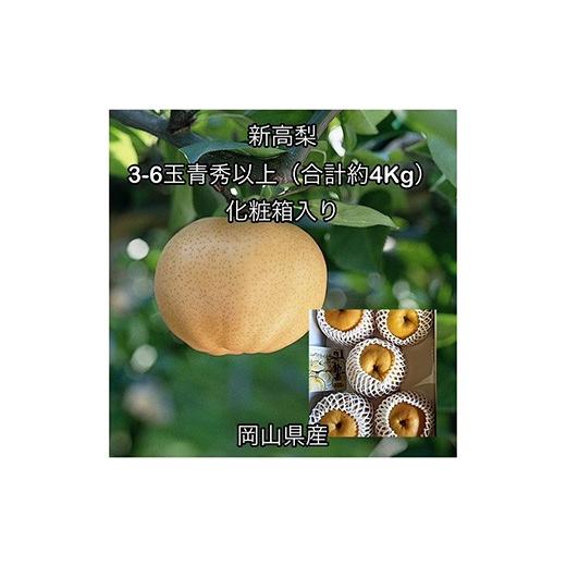ふるさと納税 梨 岡山県 井原市 新高梨 3〜6玉 青秀以上(約4.0kg) 岡山県産