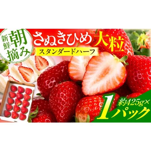 ふるさと納税 いちご 香川県 三木町 先行予約 苺音スタンダードハーフ 〜春の大粒のさぬきひめいちご〜 約425g | スイーツ いちご イチゴ ストロベリー さぬ…