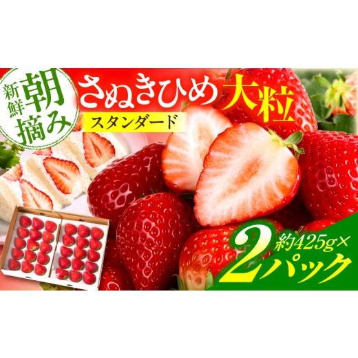ふるさと納税 いちご 香川県 三木町 先行予約 苺音スタンダード〜春の大粒のさぬきひめいちご〜 約850g | スイーツ いちご イチゴ ストロベリー さぬきひめ…