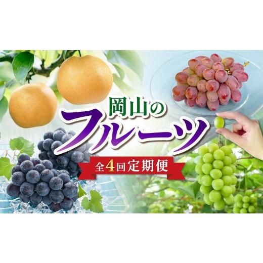 ふるさと納税 ぶどう マスカット 岡山県 備前市 2026年発送 定期便 岡山のフルーツ定期便4回コース(9月〜12月配送 計4回お届け ) ニューピオーネ シャイン…