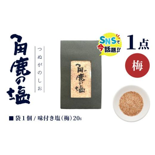 ふるさと納税 塩・だし ハーブ・風味付き 福井県 敦賀市 福井梅をたっぷり使用 角鹿の塩 小袋 20g 敦賀 塩 しお 粗塩 天然塩 天日塩 釜炊き 梅 味つき 調味料 …