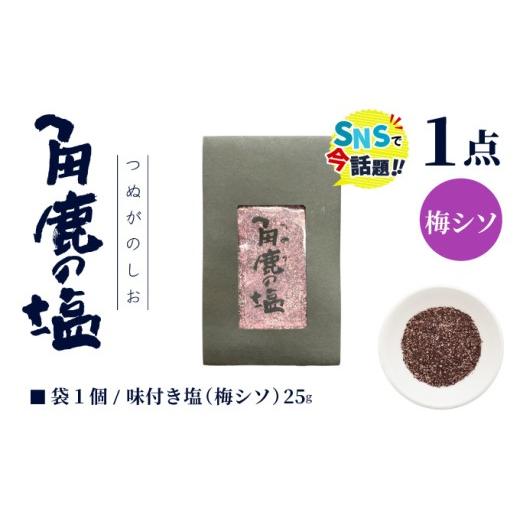 ふるさと納税 塩・だし ハーブ・風味付き 福井県 敦賀市 福井梅とシソをたっぷり使用 角鹿の塩 小袋 25g 敦賀 塩 しお 粗塩 天然塩 天日塩 釜炊き 梅 シソ 味…