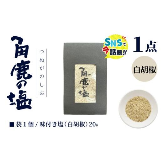 ふるさと納税 塩・だし 海塩 福井県 敦賀市 白い刺激が味わえる 角鹿の塩 小袋 20g 敦賀 塩 しお 粗塩 天然塩 天日塩 釜炊き 白胡椒 胡椒 味つき 調味料 ミネ…