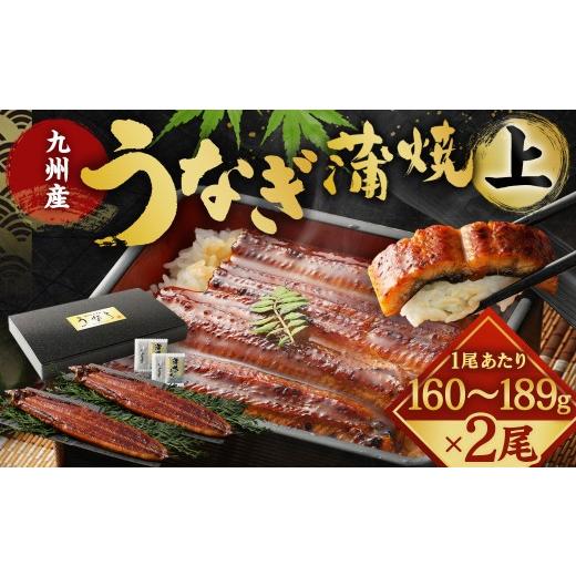 ふるさと納税 うなぎ 福岡県 北九州市 土用の丑の日にお届け 九州産 うなぎ 蒲焼 上 2尾 (1尾あたり160〜189g) 土用の丑の日期間にお届け
