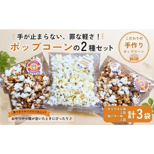 ふるさと納税 菓子 スナック 長野県 千曲市 「おトクな2種セット」 手作りポップコーン | キャラメル味(45g×2袋) 塩バター味(25g×1袋) 無添加 セット …