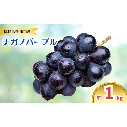 ふるさと納税 果物類 ぶどう 長野県 千曲市 2026年先行予約 ナガノパープル 約1kg|ぶどう 大粒 白ぶどう 種無し 皮ごと 信州 長野県 千曲市 約1kg