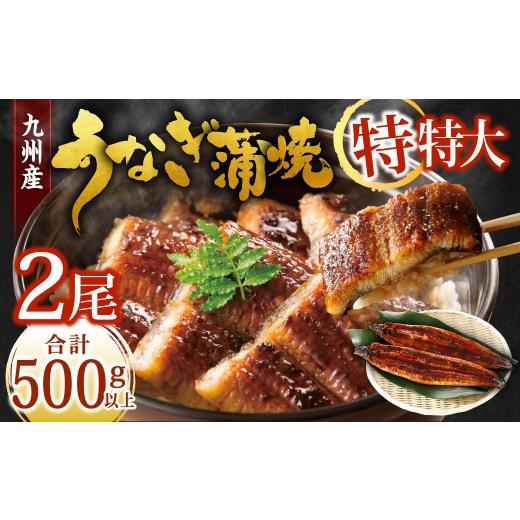 ふるさと納税 うなぎ 福岡県 北九州市 土用の丑の日にお届け 九州産 うなぎ蒲焼 特特大2尾 (1尾あたり250〜266g) 合計500g以上 土用の丑の日期間にお届け