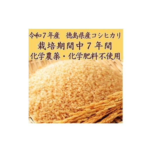ふるさと納税 玄米 徳島県 阿南市 栽培期間中7年間化学農薬・化学肥料不使用 徳島県産コシヒカリ 10kg 玄米 1711896