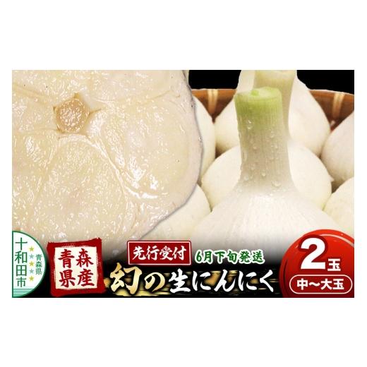 ふるさと納税 野菜類 青森県 十和田市 先行受付 青森県産にんにく 幻の生にんにく 2玉(中〜大玉) 6月下旬発送 福地ホワイト 青森期待の新人商店 稀少 ニンニ…