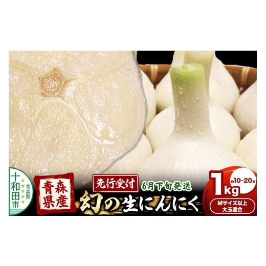 ふるさと納税 野菜類 青森県 十和田市 先行受付 青森県産にんにく 幻の生にんにく 1kg 約10〜20玉(Mサイズ以上大玉混合) 6月下旬発送 福地ホワイト 青森期待…