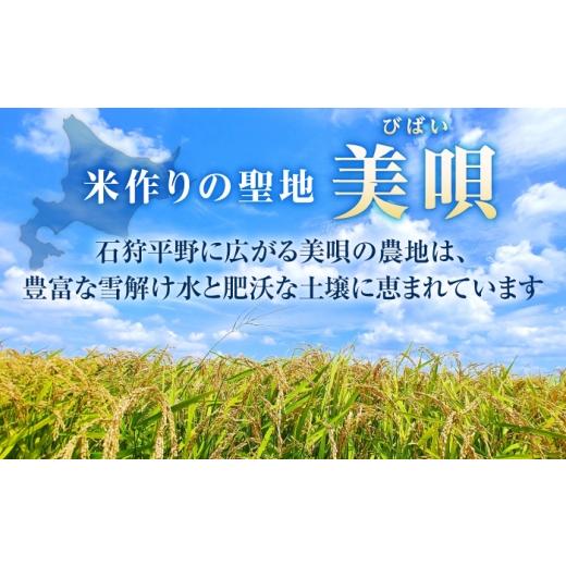ふるさと納税 地域のお礼の品 北海道 美唄市  チョイス限定寄附額 先行予約 新米 3回定期便 令和8年産 北海道米 ななつぼし5kg・ゆめぴりか5kg 食べ比べセット…_7