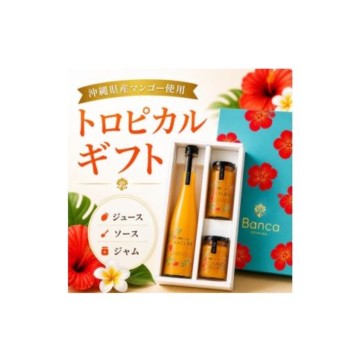 ふるさと納税 果汁飲料 沖縄県 西原町 化粧箱入り 沖縄マンゴー使用 トロピカルギフトセット 1742771