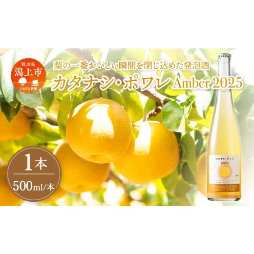 ふるさと納税 ワイン スパークリングワイン 秋田県 潟上市 ふるさと納税 カタナシ・ポワレ Amber 2025 スパークリング 1本 ワイン 500ml 父の日 敬老 お祝い …