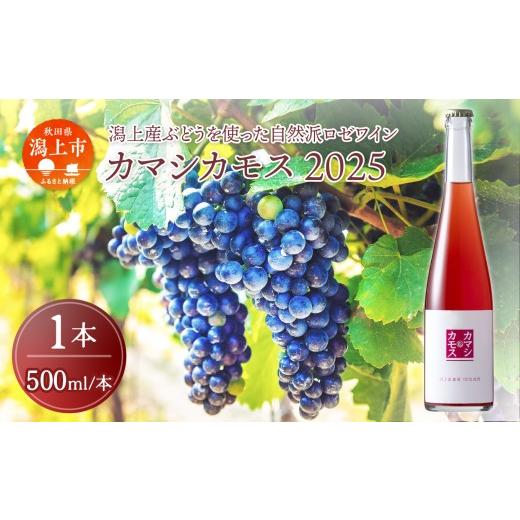 ふるさと納税 ワイン ロゼワイン 秋田県 潟上市 ふるさと納税 カマシカモス 2025年 ロゼ 中辛口 1本 ワイン 500ml 父の日 敬老 お祝い 贈答 グルメ 秋田県産 …