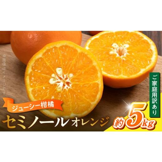 ふるさと納税 みかん・柑橘類 オレンジ 和歌山県 湯浅町 2027年先行予約 ご家庭用訳あり ジューシー柑橘 セミノールオレンジ 約5kg 甘味 酸味 凝縮 しっかりと…