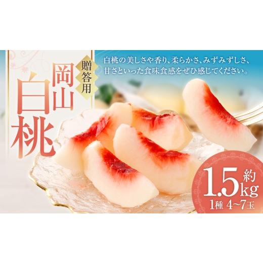 ふるさと納税 もも 岡山県 倉敷市 贈答用 ( 赤秀 ) 岡山白桃 約1.5kg もも 桃 モモ 白桃 くだもの 果物 フルーツ 果実 果汁 果肉 岡山県産 旬 ギフト プレゼ…