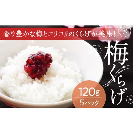 ふるさと納税 加工品等 兵庫県 たつの市 U-20 国産紀州南高梅使用 梅くらげ120g×5パック