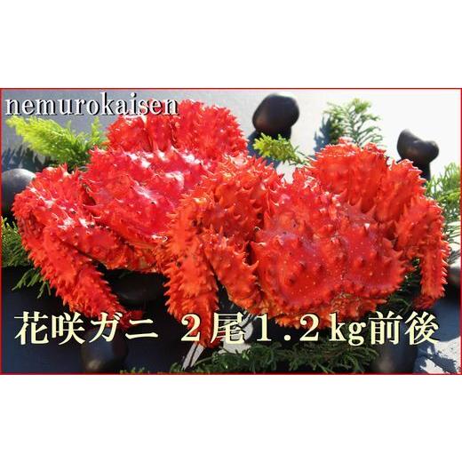 ふるさと納税 カニ 花咲ガニ 北海道 根室市 B-57031 北海道根室産 花咲ガニ2尾 計1.2kg前後