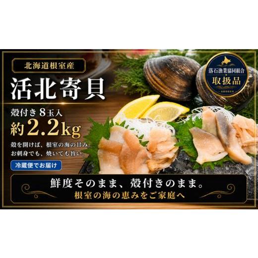 ふるさと納税 魚貝類 北海道 根室市 A-20015 北海道根室産 活北寄貝(殻付き)8玉 計約2.2kg