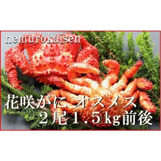ふるさと納税 カニ 花咲ガニ 北海道 根室市 C-57062 北海道根室産 花咲ガニオスメス(内子入り)各1尾(計1.5kg前後)