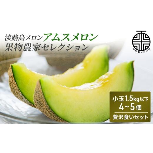 ふるさと納税 メロン メロン青肉 兵庫県 洲本市 淡路島メロン(アムスメロン)果物農家セレクション 小玉1.5kg以下4個〜5個(6kg相当) 贅沢食いセット 兵庫県 洲…