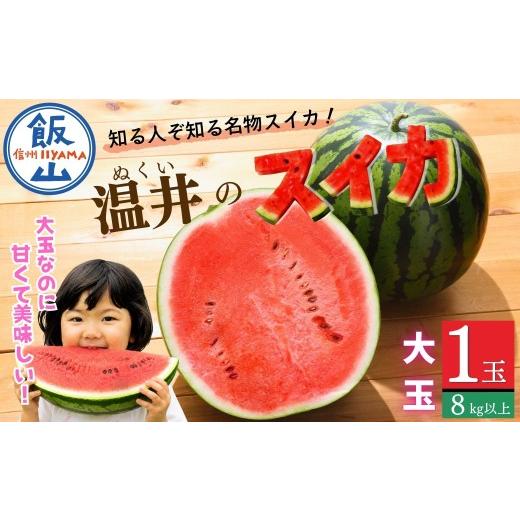 ふるさと納税 スイカ 長野県 飯山市 数量限定 温井のスイカ 大玉 1玉(8kg以上)[ 2026年8月より順次発送 ] | 長野県 飯山市 ぬくい すいか 西瓜 夏デザー…