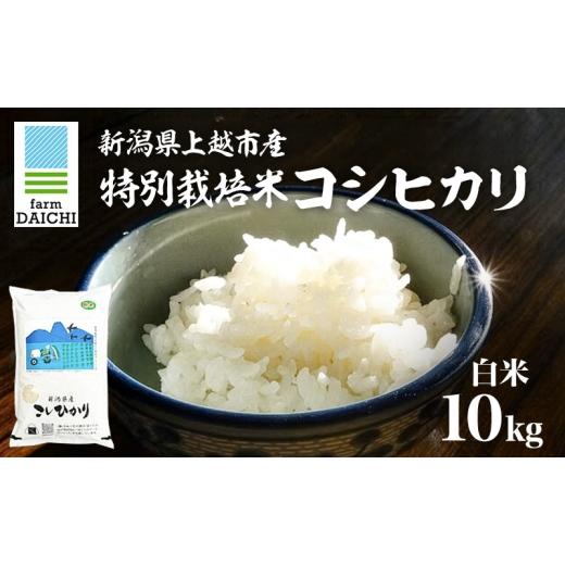 ふるさと納税 米 コシヒカリ 新潟県 上越市 令和7年 新潟県上越市産 特別栽培米 コシヒカリ 10kg (5kg×2袋)お米 コメ こしひかり ふぁーむ大地