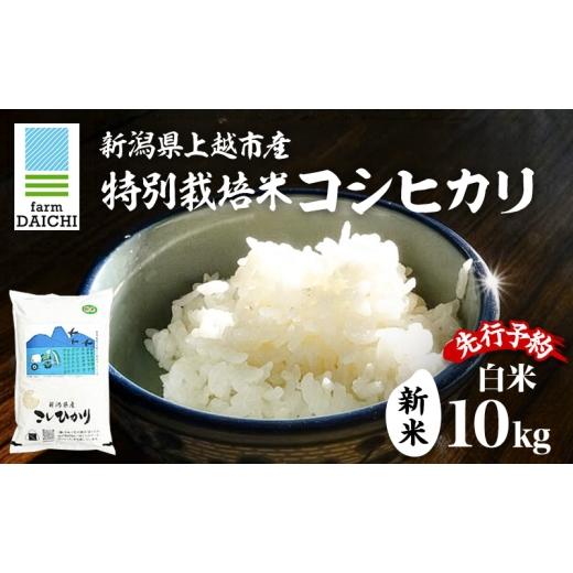 ふるさと納税 米 コシヒカリ 新潟県 上越市 先行予約 令和8年 新米 新潟県上越市産 特別栽培米 コシヒカリ 10kg (5kg×2袋)お米 コメ こしひかり ふぁーむ大…